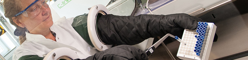 Frau bearbeitet Proben der Biodatenbank des IPA.