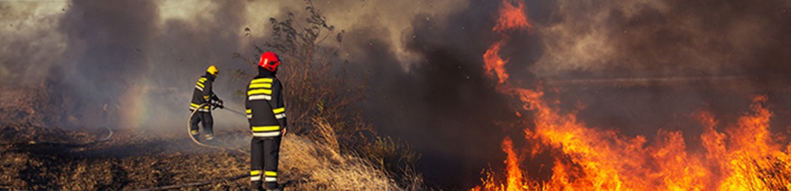 Feuerwehrleute stehen vor einem Vegetationsbrand.