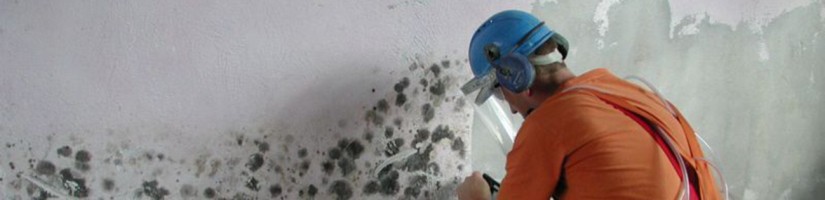 Ein Mann entfernt Schimmelbefall an einer Wand