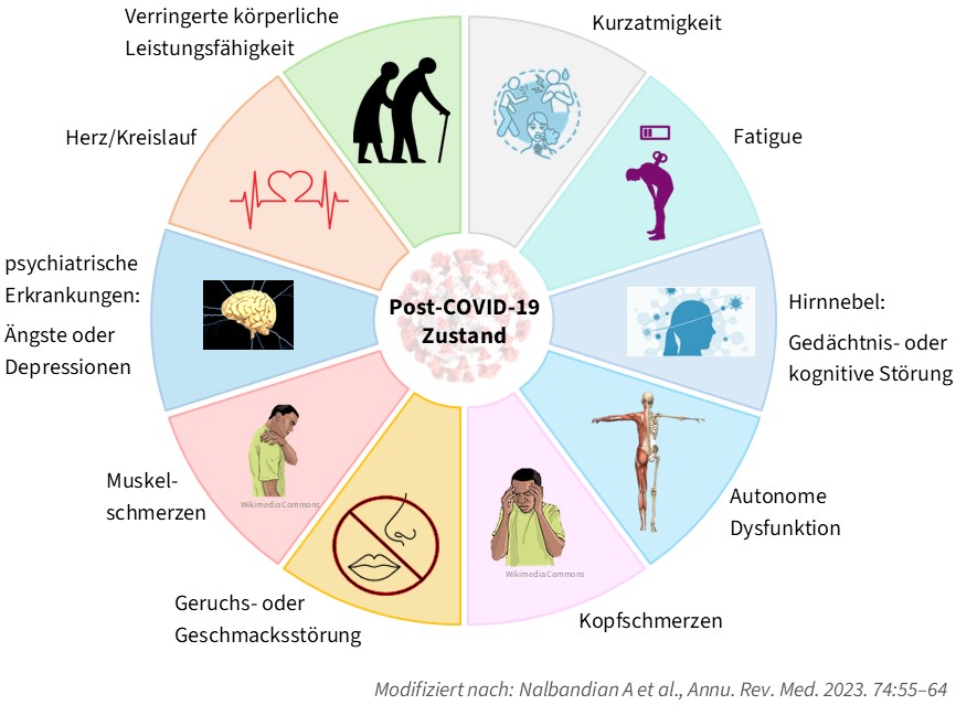 Abb. 2: Gesundheitliche Auswirkungen des Post-COVID-Zustands auf Modifiziert nach: Nalbandian A et al., Annu. Rev. Med. 2023. 74:55–64 verschiedene Körperfunktionen