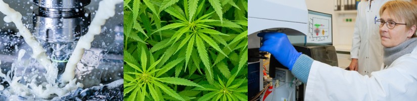 Das moderne Kryolager des IPA